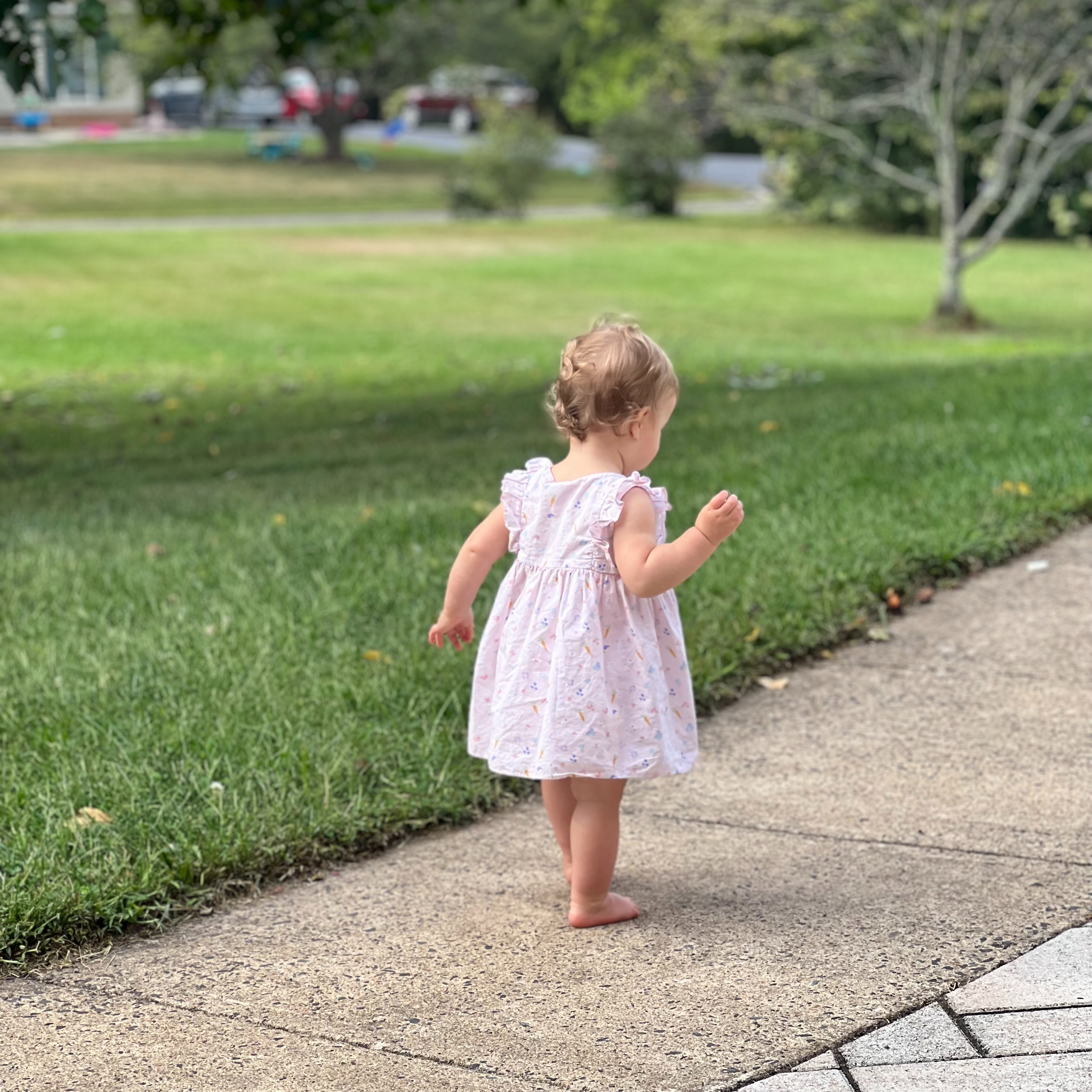 A Mother’s Parable