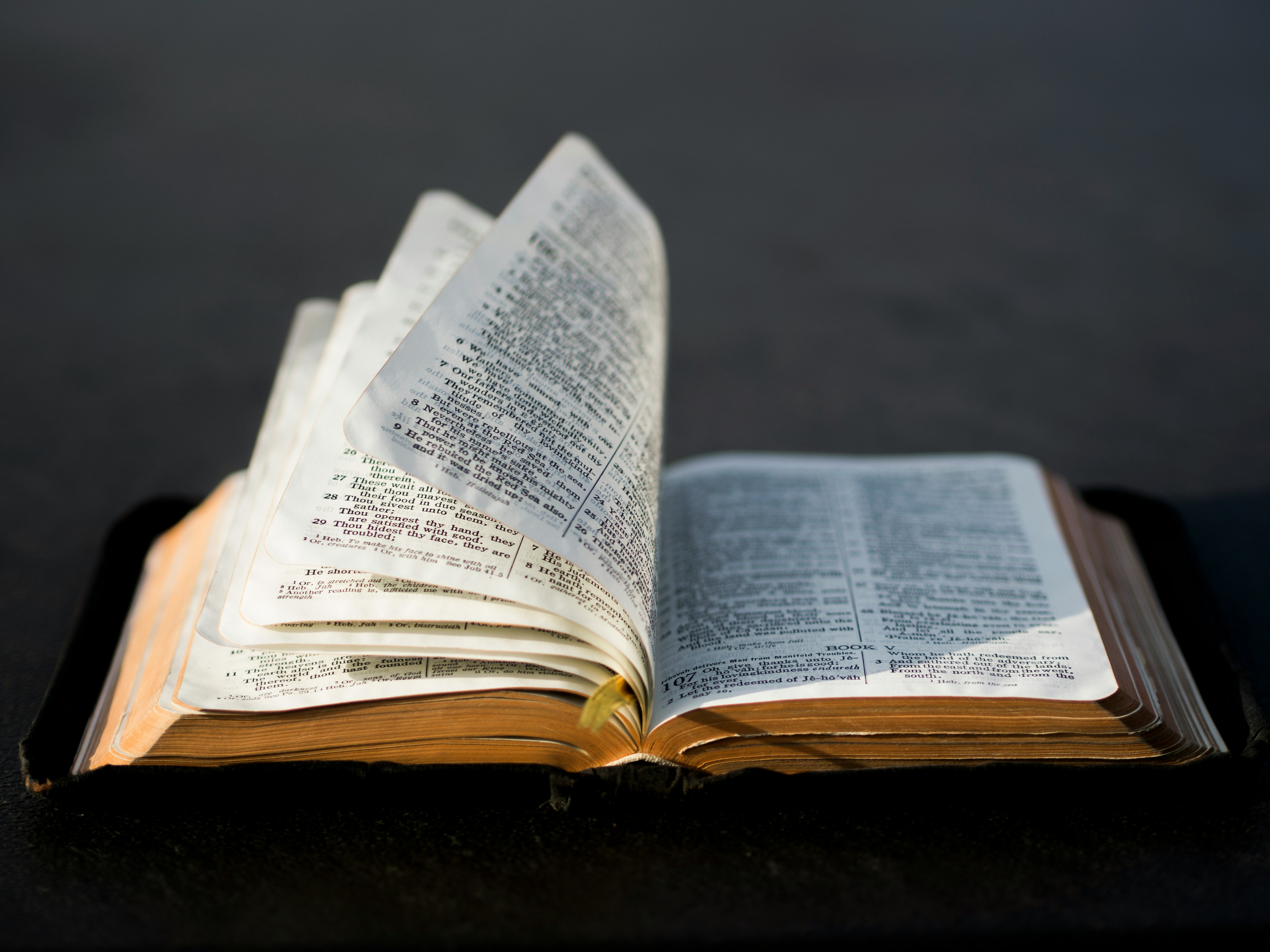 Scripture Roulette
